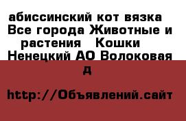 абиссинский кот вязка - Все города Животные и растения » Кошки   . Ненецкий АО,Волоковая д.